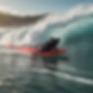 Specialized Gear for One Wing Surfing Close-up view of specialized one wing surfing gear including the wing and board.
