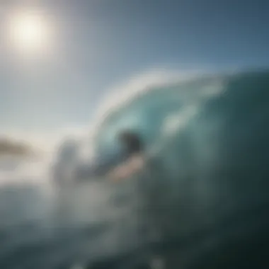 A group of surfers celebrating a successful session