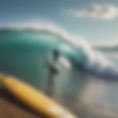 A group of enthusiasts discussing the benefits of surfing practice machines