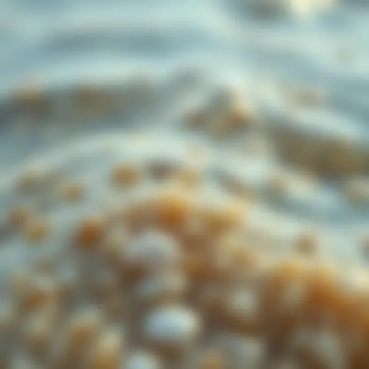 Close-up of seawater with mineral particles