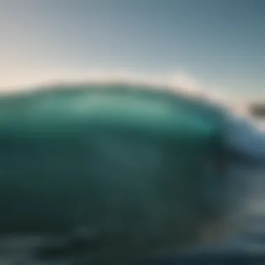 Ecological Importance of Tides Ecological significance of tides illustrated through marine life