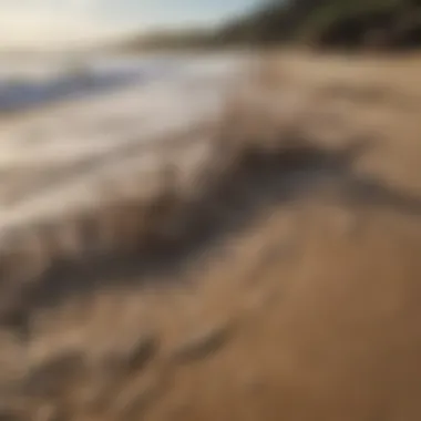 Close-up of surf mud on a sandy beach