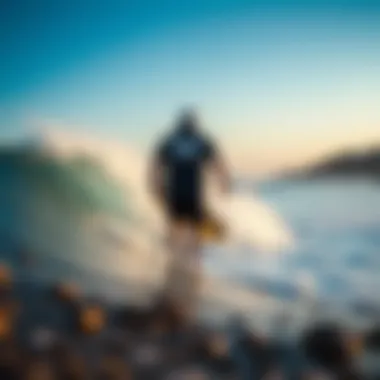 Artistic collaboration between Vans and renowned artists