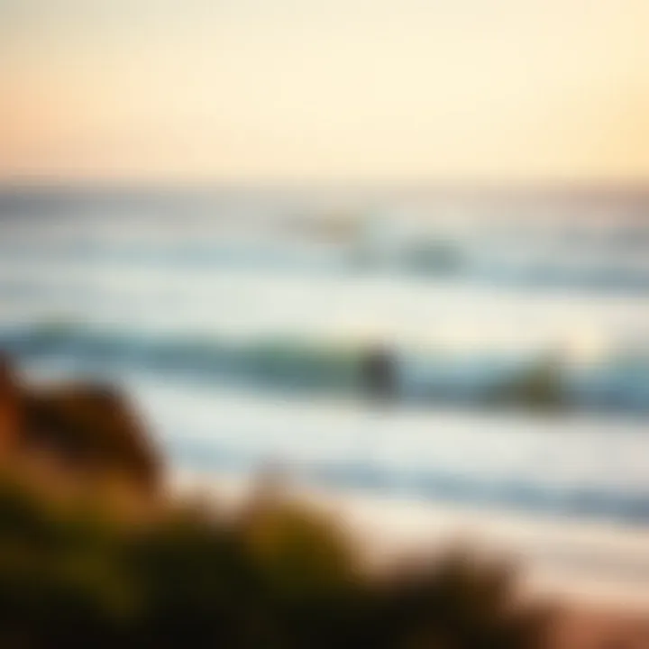 A scenic beach with dynamic waves and wind indicators