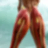 Detailed view of calf muscle anatomy Anatomy of the calf muscles