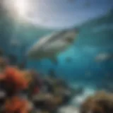 A vibrant underwater scene showcasing various shark species swimming gracefully among coral reefs.