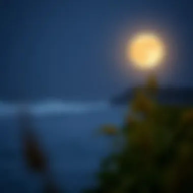 Agricultural Practices Aligned with Lunar Cycles Lunar Agriculture