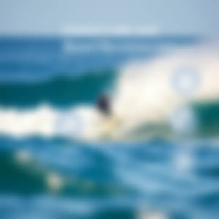 Skill Levels and Board Recommendations Infographic illustrating skill levels and board recommendations