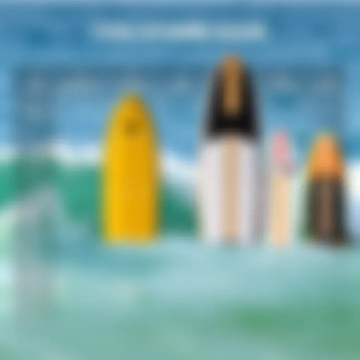 Types of Paddle Boards Comparison Comparison chart showcasing different types of paddle boards