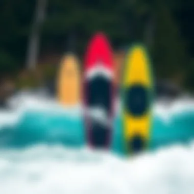 Different paddle boards in various environments for comparison