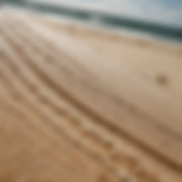 A close-up view of a sand surfing board showcasing its unique design and texture.