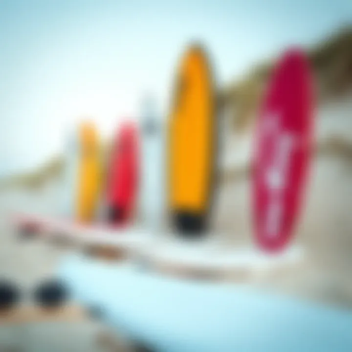 Variety of Skim Board Sizes Different skim board sizes displayed on a sandy beach
