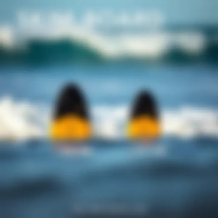 Skim Board Size and User Preferences Comparison Comparison chart of skim board dimensions and user preferences