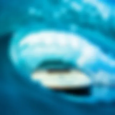 Impact of Brand on Surfboard Costs A visual representation of brand influence on surfboard costs