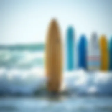 Surfboard Types and Pricing A comparison of different surfboard types and their price ranges