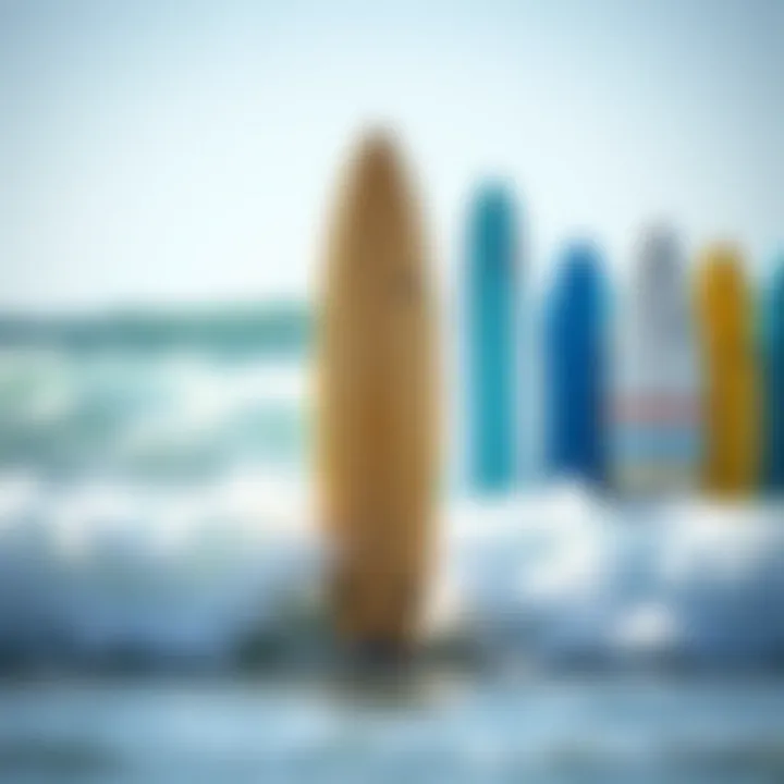 Surfboard Types and Pricing A comparison of different surfboard types and their price ranges