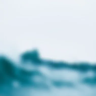 Environmental factors affecting surfing conditions