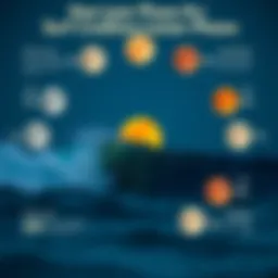 Lunar phases depicted in a detailed infographic