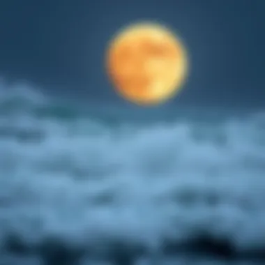 Tidal Patterns and the Moon Tidal patterns influenced by the moon's position