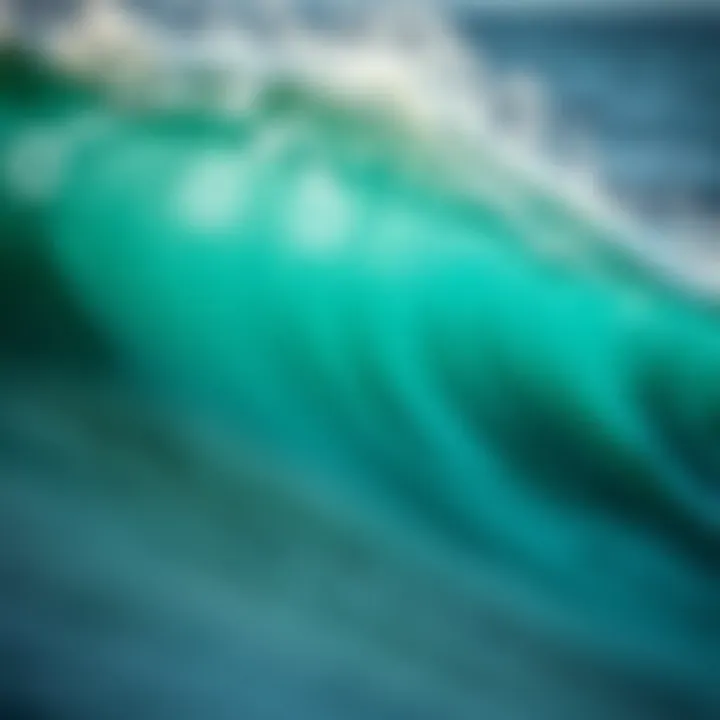 Wind Directions and Their Impact on Surfing Wind vector map illustrating different directions affecting surf spots