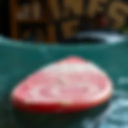 Bodyboard with a fresh coat of wax