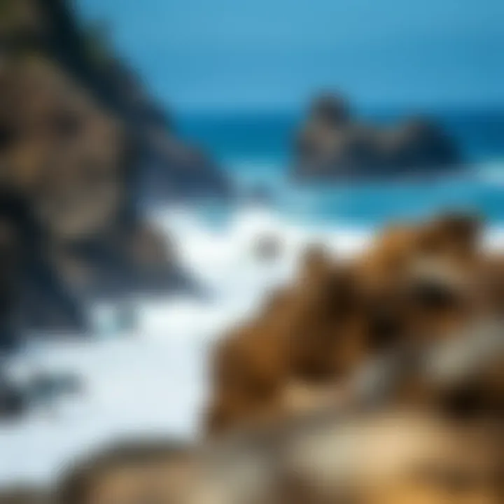 Surfing at Big Sur's Rocky Shoreline Rocky shoreline with surfers at Big Sur